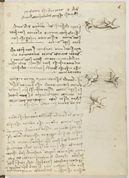 Código de vuelo de aves, c. 1505-06